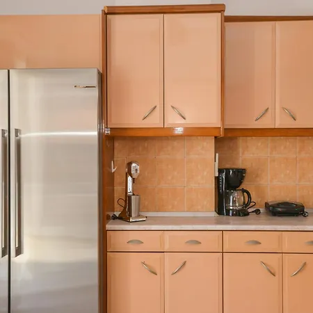 Eleftheria House 別荘 Mytakas